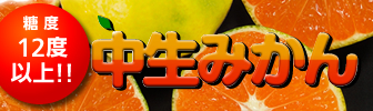 中生みかん