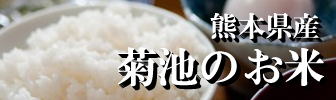 熊本県産　菊池のお米